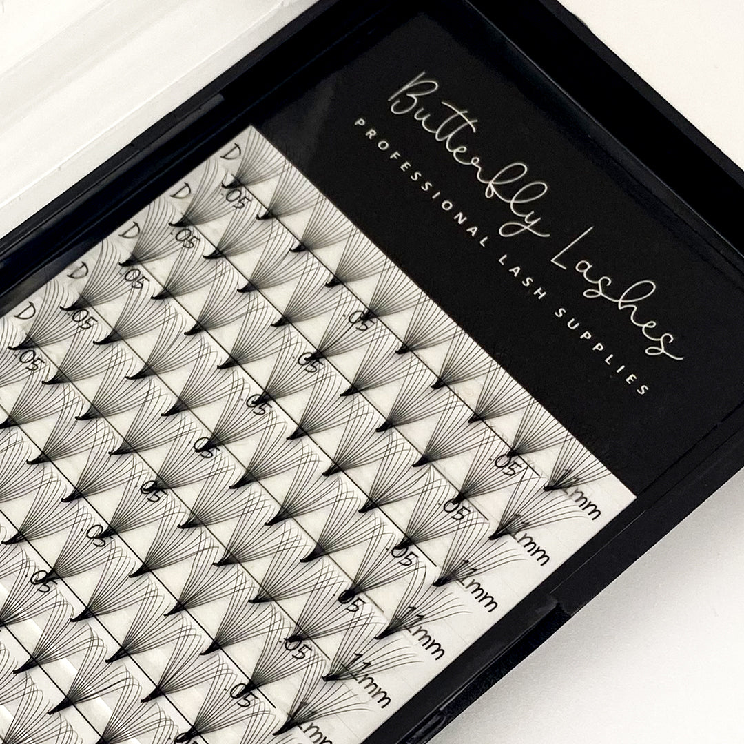 black and white eyelash tray with premade lash fans in size 11mm D curl